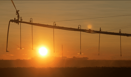 A center pivot watering our crops of little potatoes at sunset.