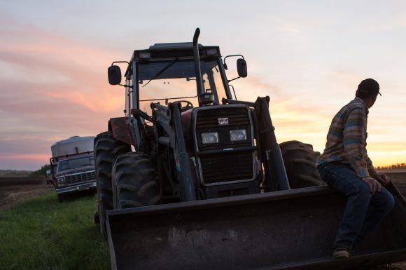 A farmer and his tractor in the potato field.