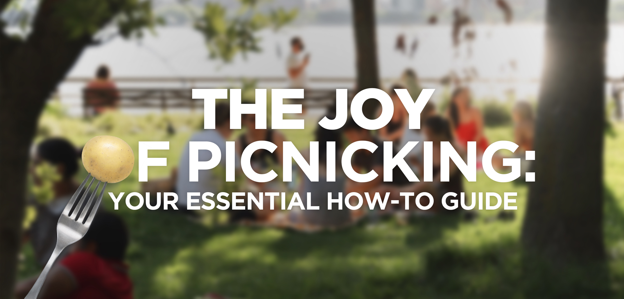 What to Pack for a Picnic Date - Don't Just Fly