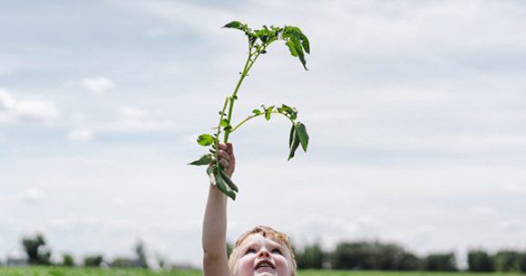 A child with a potato plant, holding it aloft like it's Excalibur.