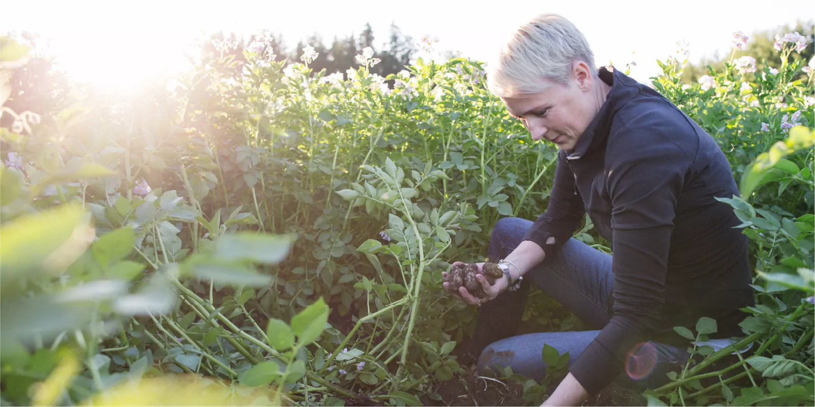 Angela in the field