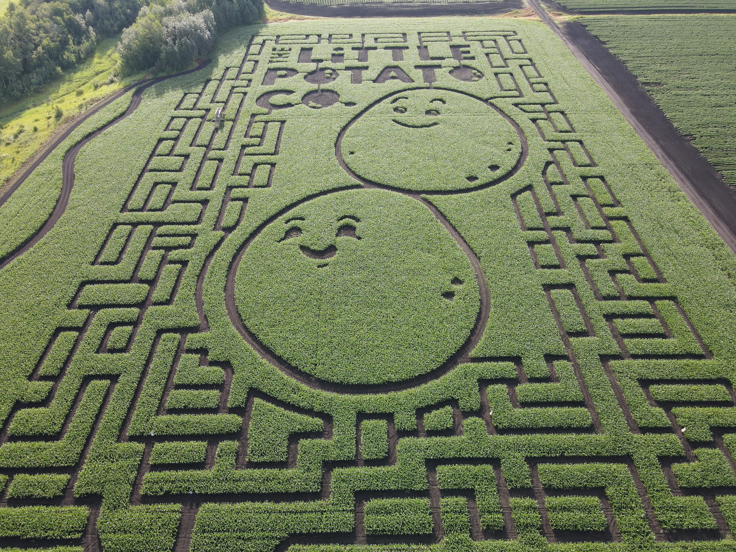 The Edmonton Corn Maze featuring the