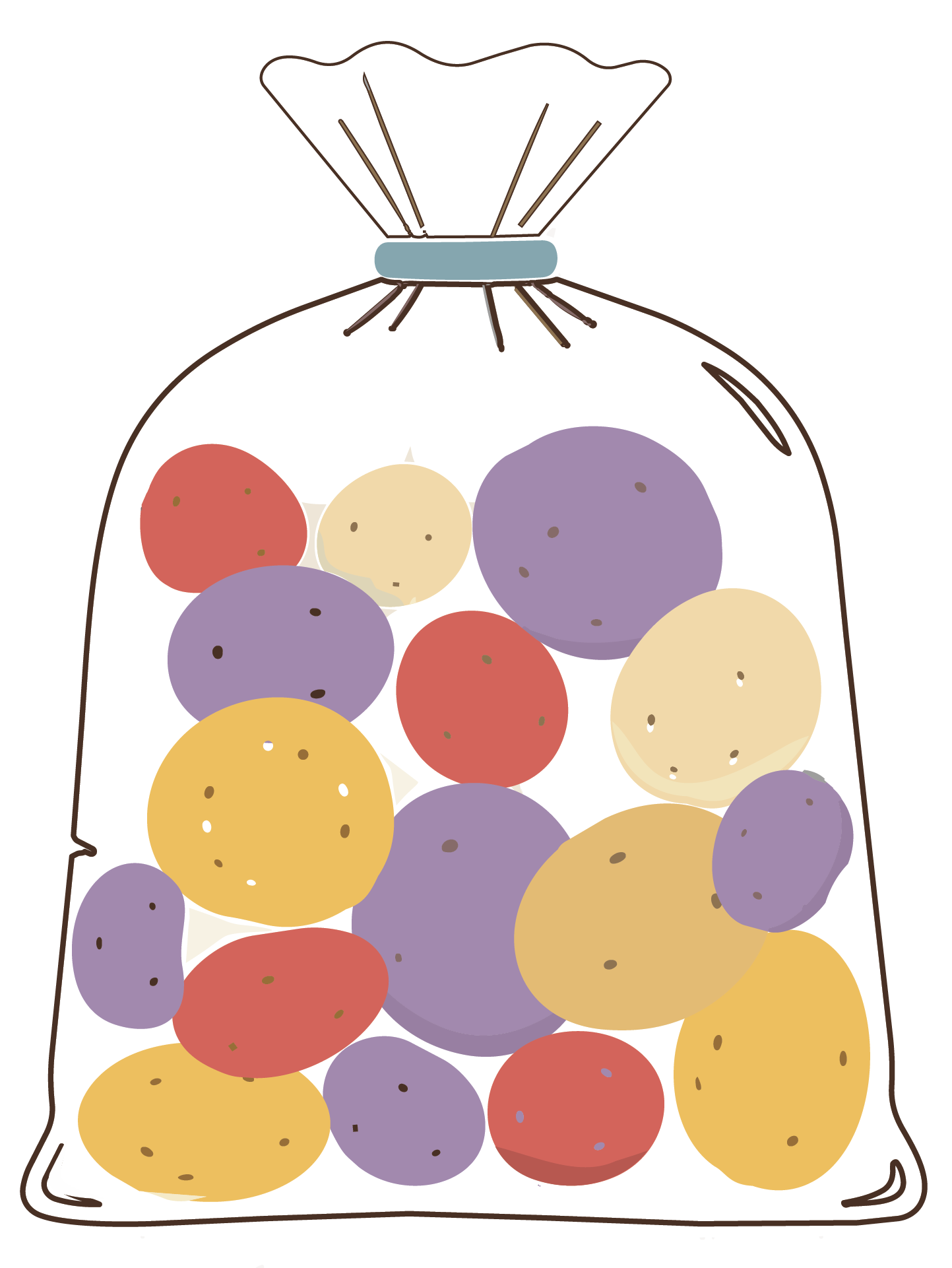 An illustrated bag of potatoes with several different potato sizes and colours in the bag.