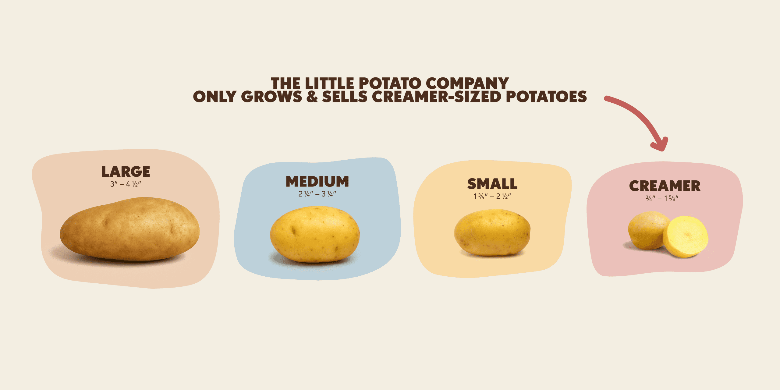 A size breakdown of different kinds of potatoes, from russets to creamer potatoes.